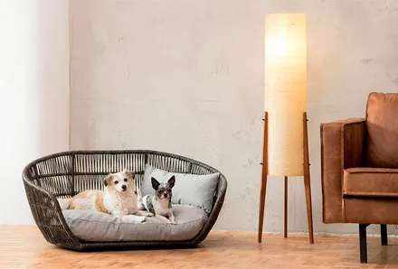 Hundesofas image