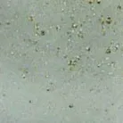 material_farbe