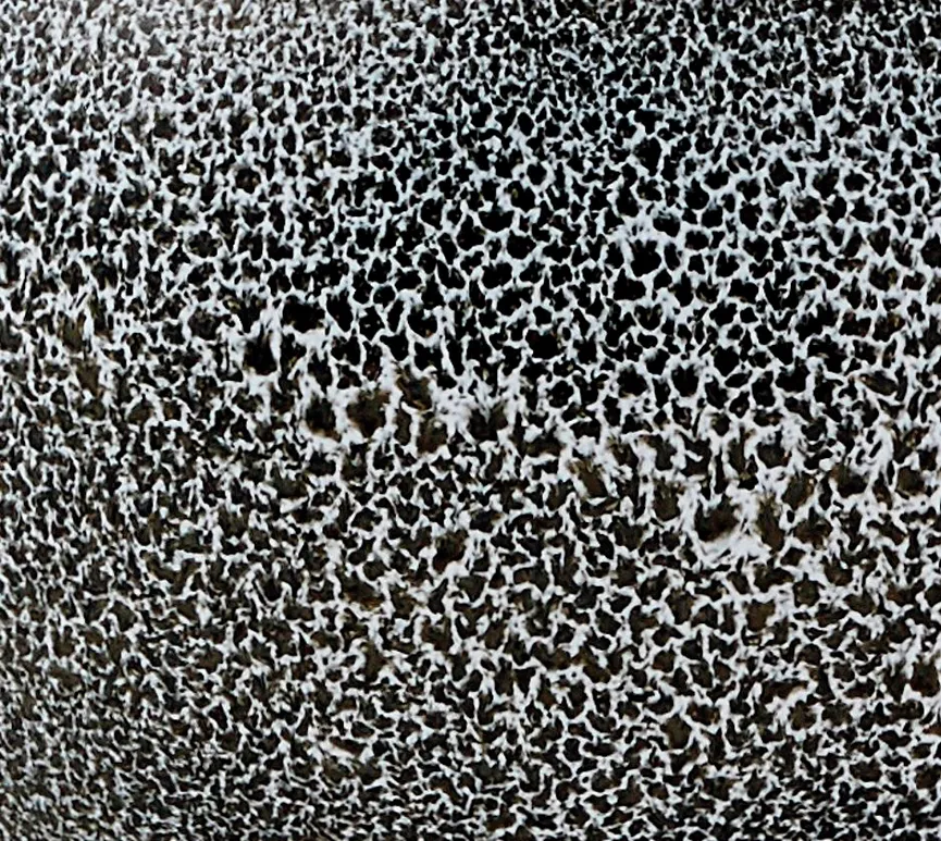 Kosmetikdose UGO black olive material_farbe