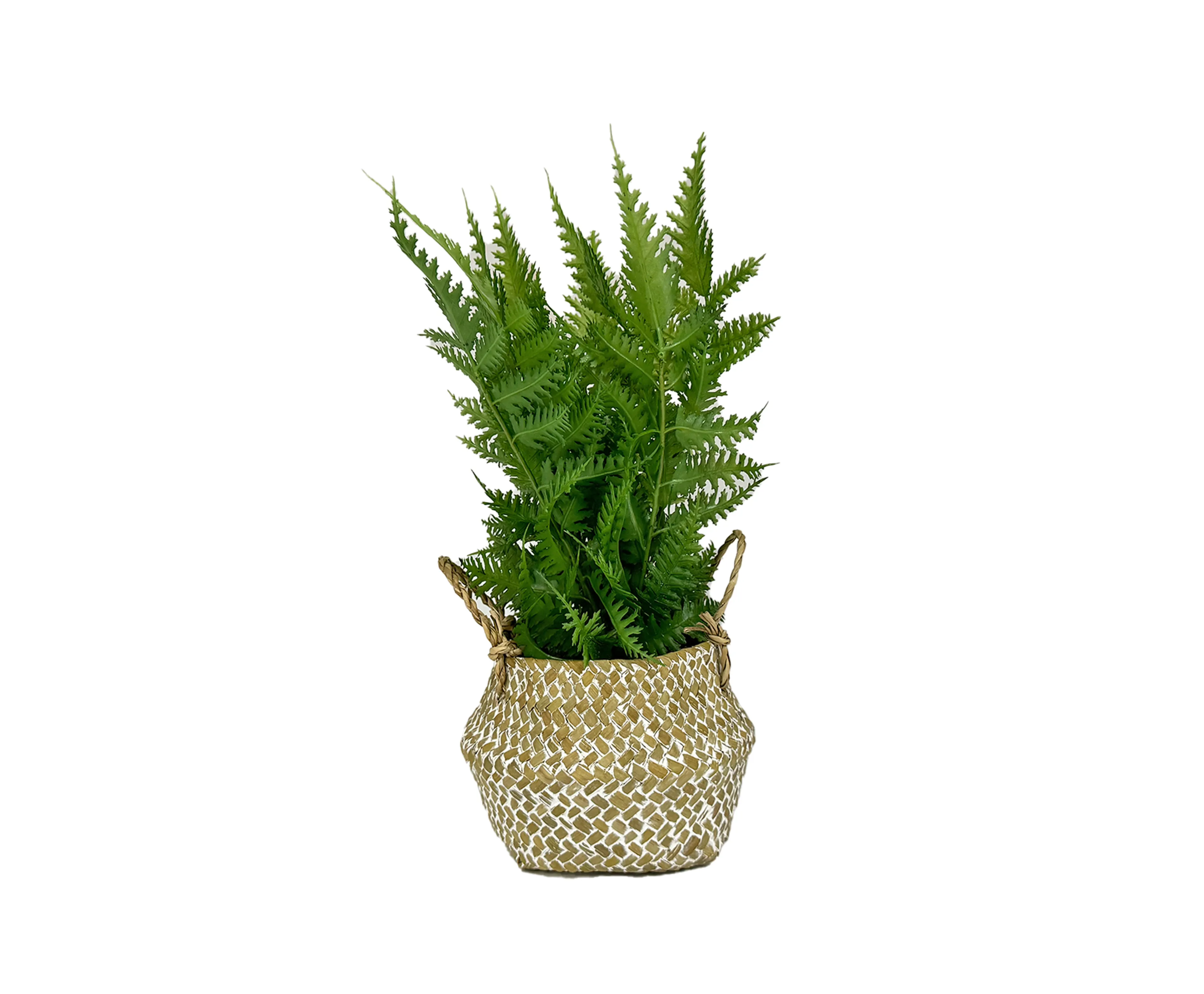 Kunstpflanze Seegras 20 cm
