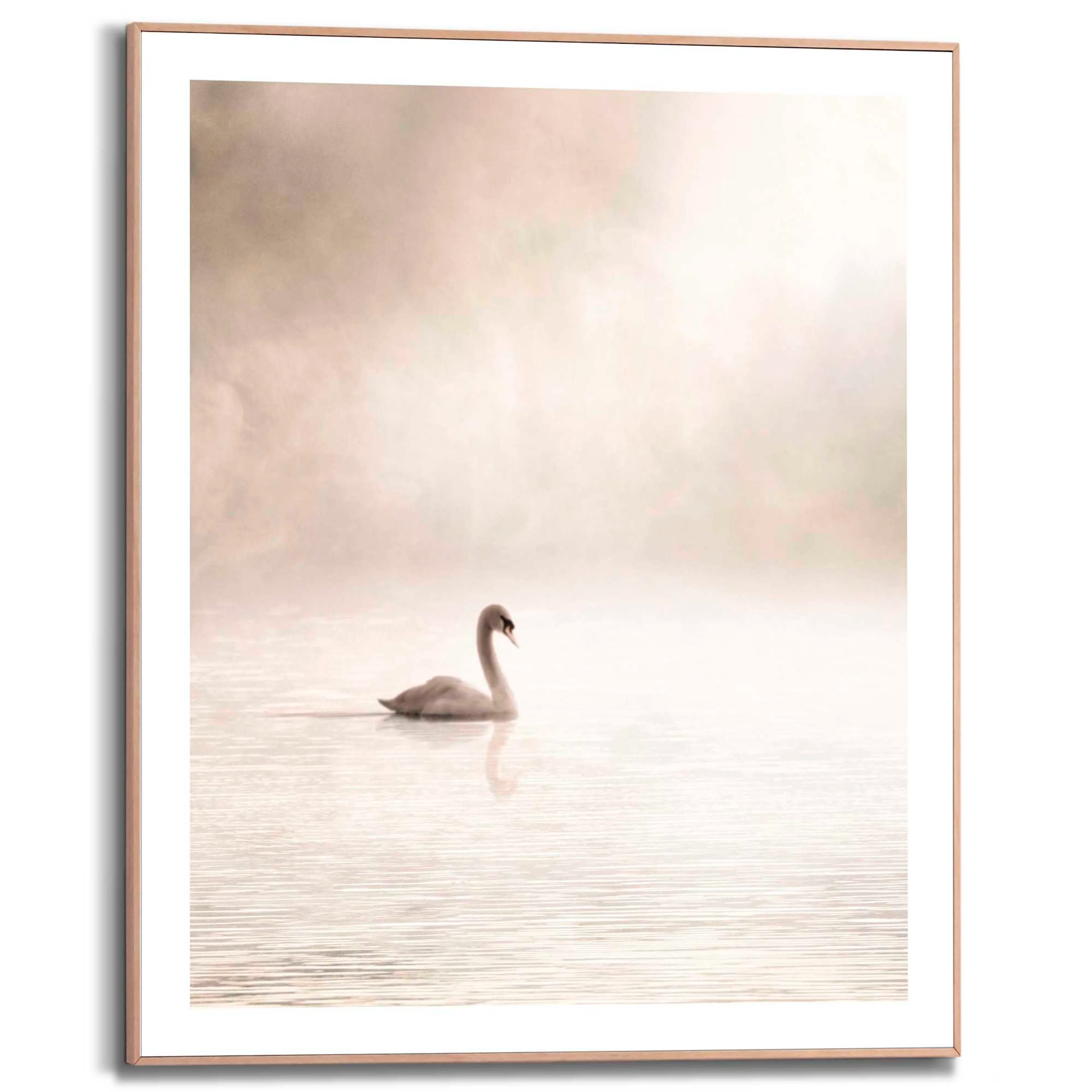 Wandbild 40 x 50 cm Misty Lake Swan