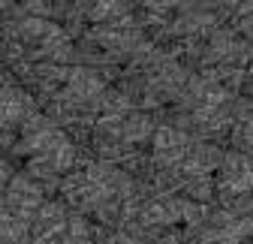 Glasuntersetzer LifeStyle 6Stk material_farbe