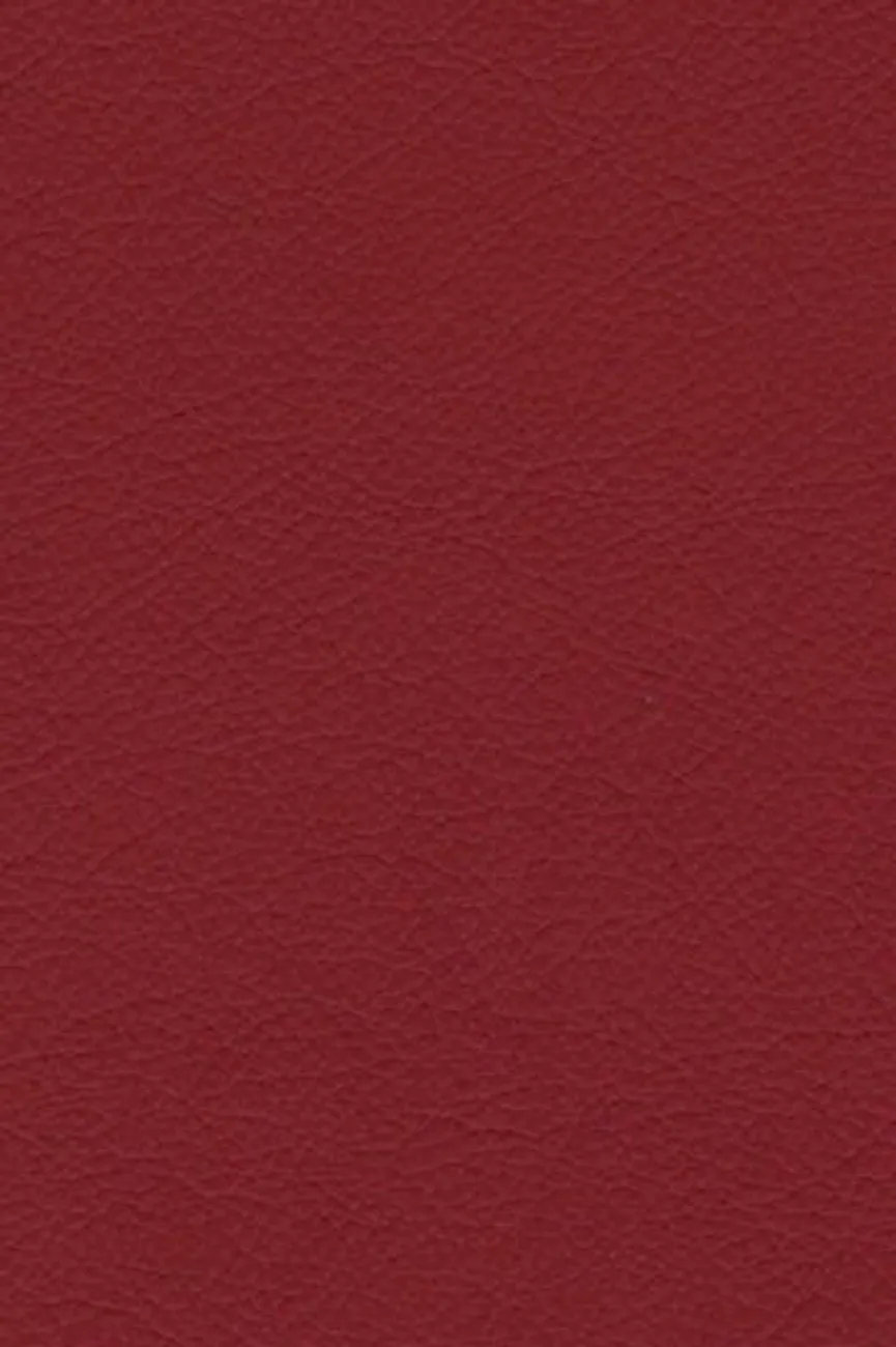 AL-Stuhl Eisen material_farbe