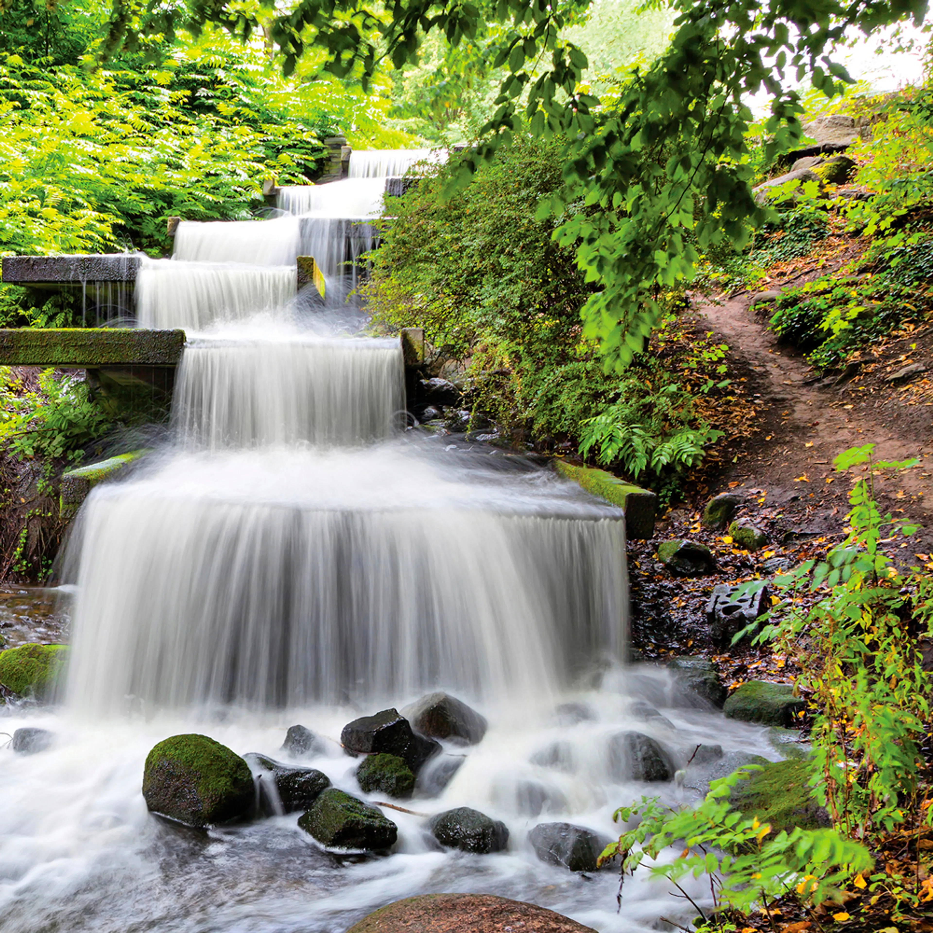 Glasbild 30 x 30 cm Waterfall V

