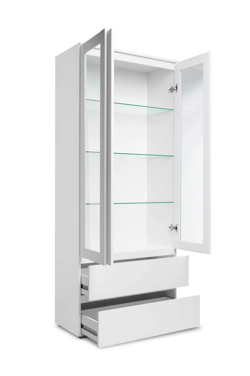 Vitrine 1T/1GS/2S detail