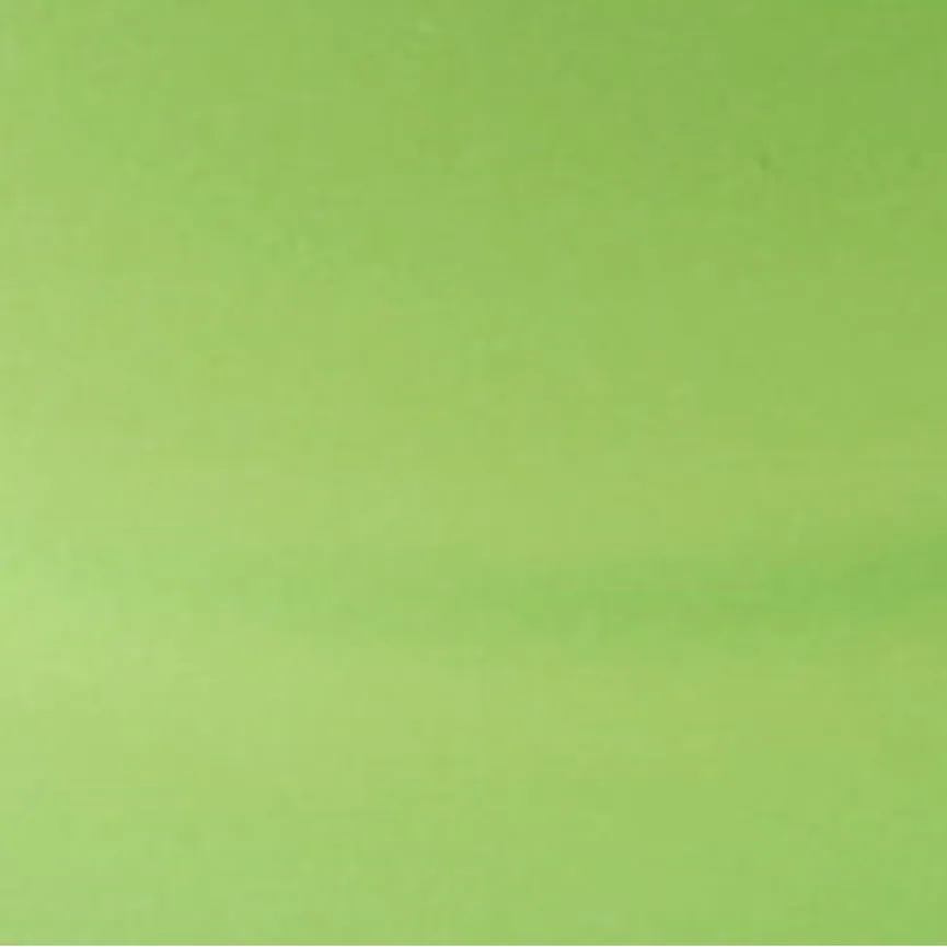 Sektverschluss "Gusto" grün material_farbe