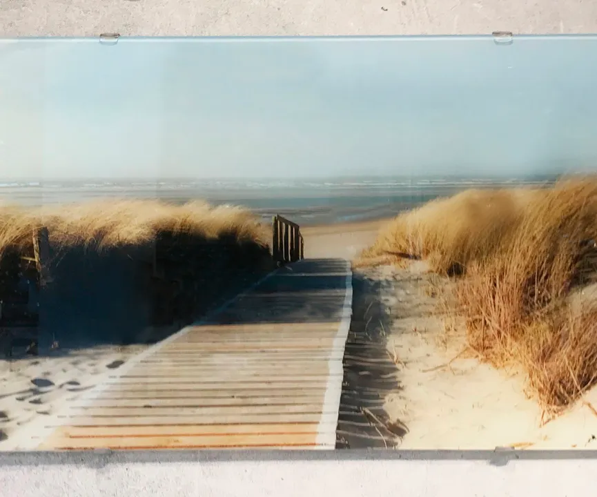 Landschaft Nordseeenjoy the be detail