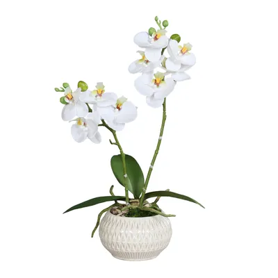 Kunstblume