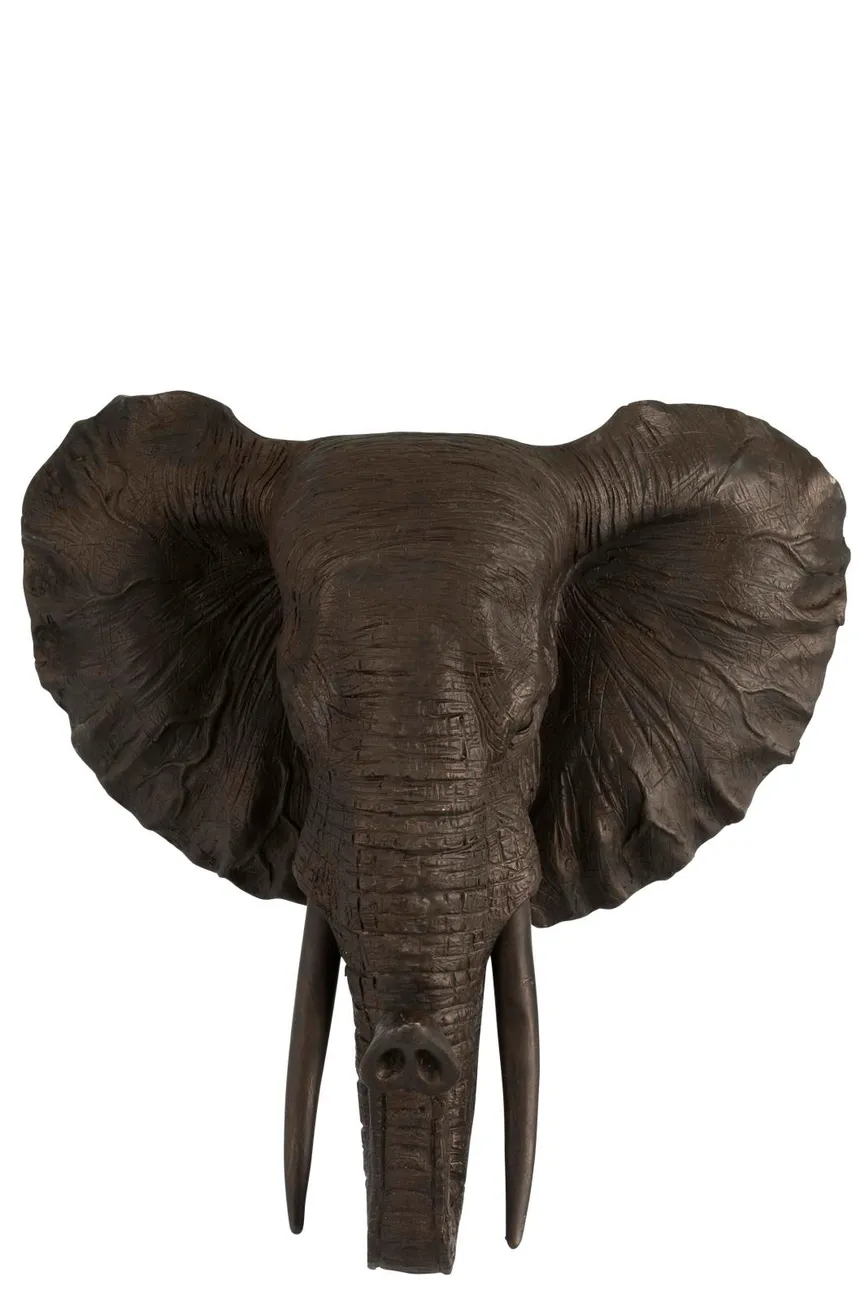 Elefant braun hauptaufnahme