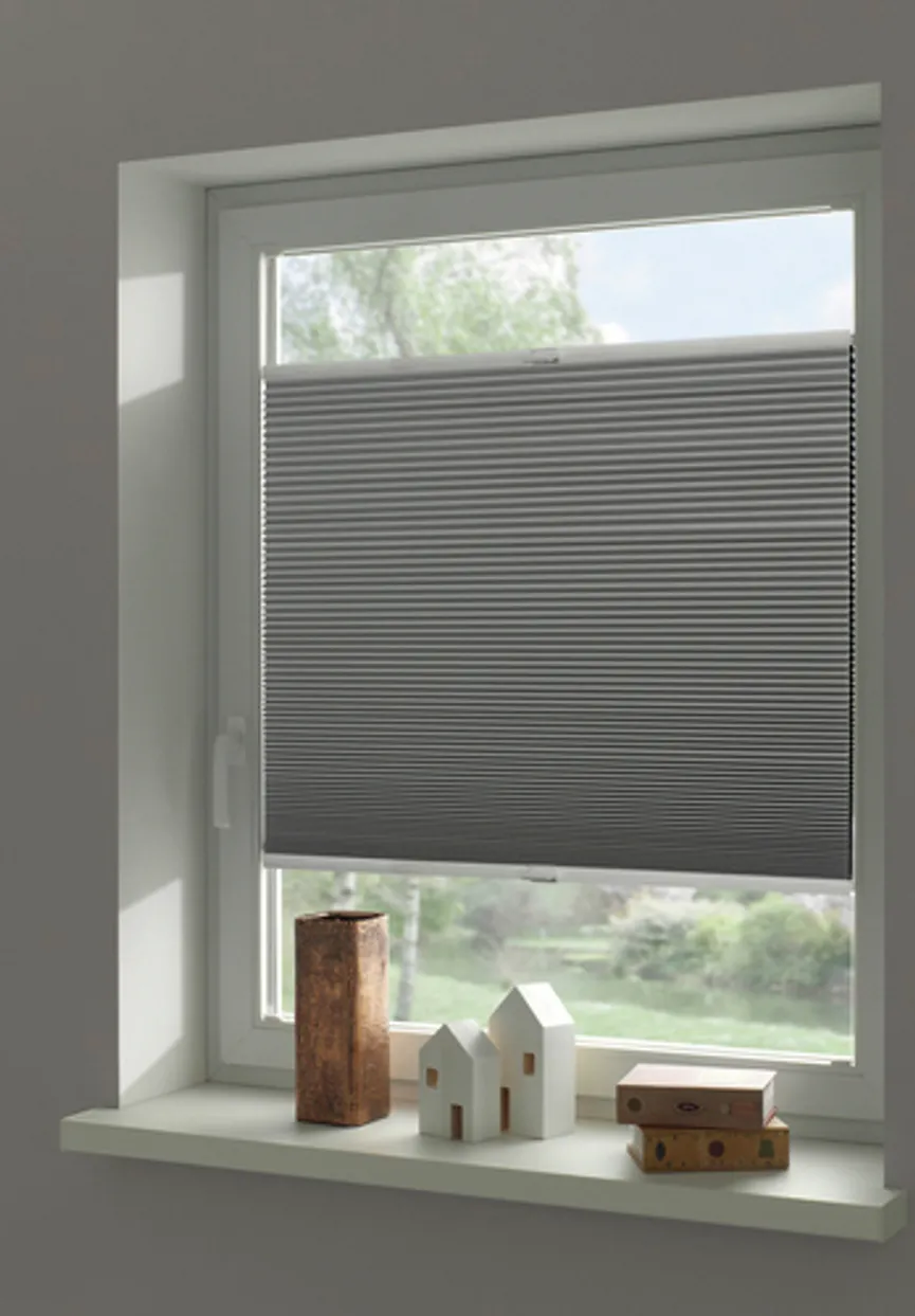 Thermoplissee Sina milieu