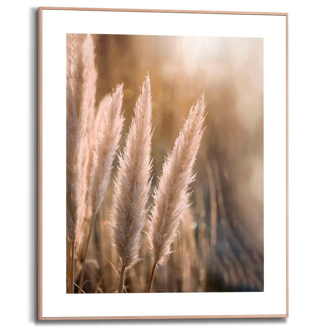 milieu