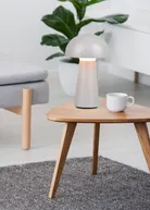 milieu