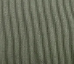 Forest material_farbe