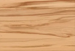 Kernbuche material_farbe