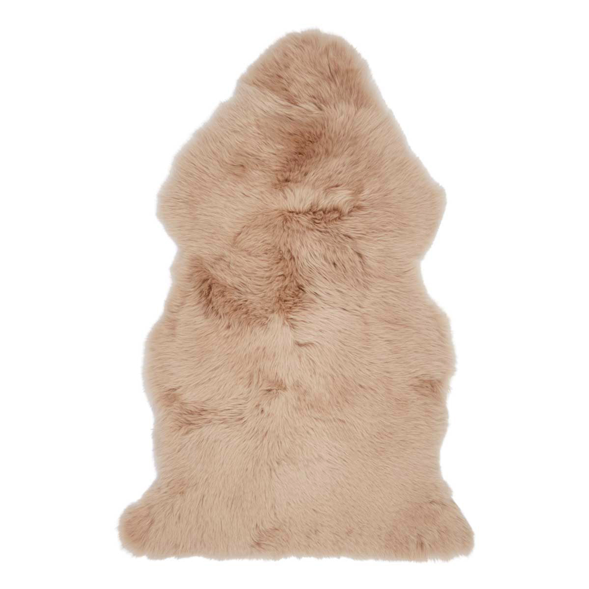 Schaf- hauptaufnahme