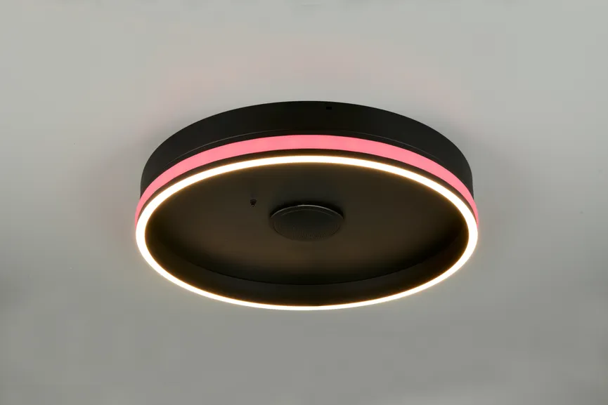 Deckenleuchte "Malin" milieu