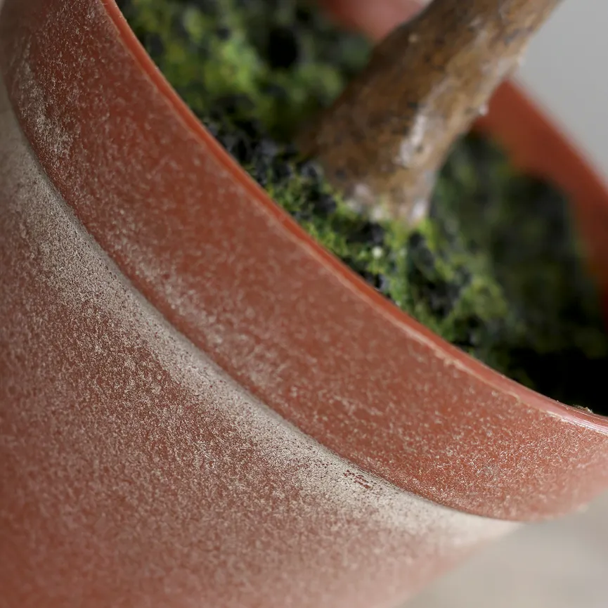 Rosmarin grün detail