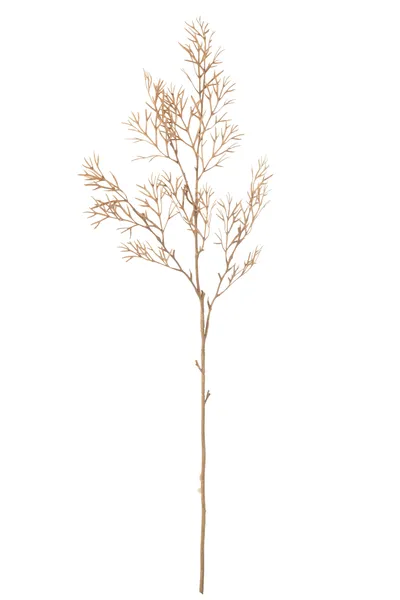 Deko-Zweig