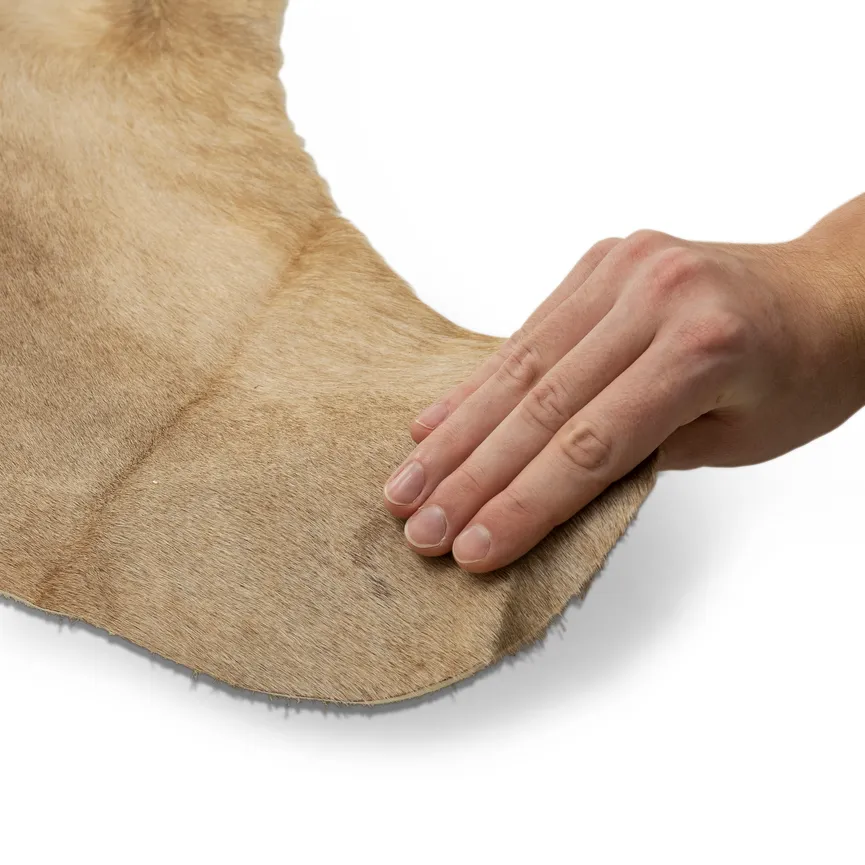 Cow Hides detail
