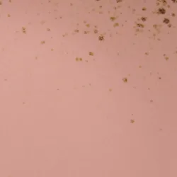 Rose material_farbe