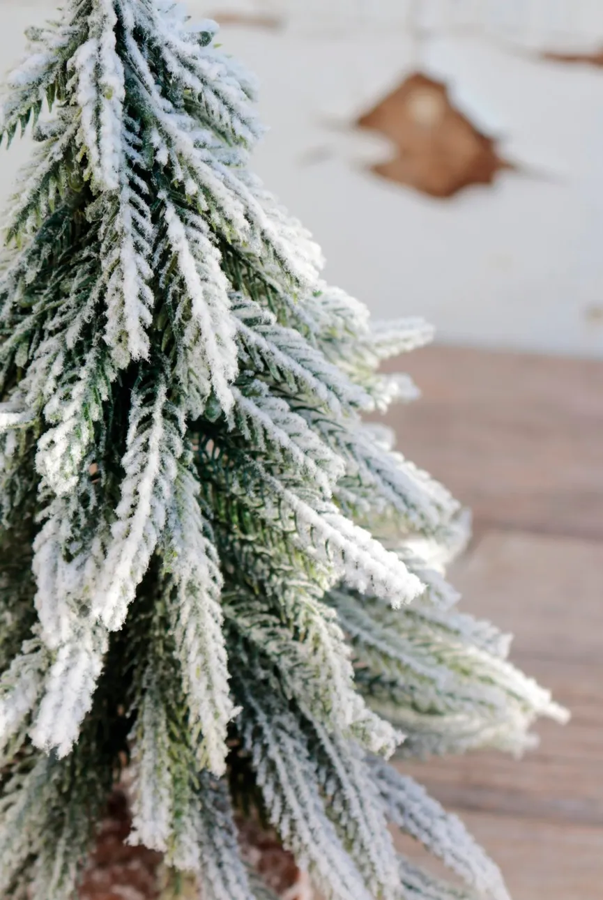 Tannebaum mit Schnee detail