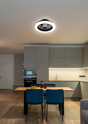 Deckenventilator