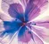 FARBE