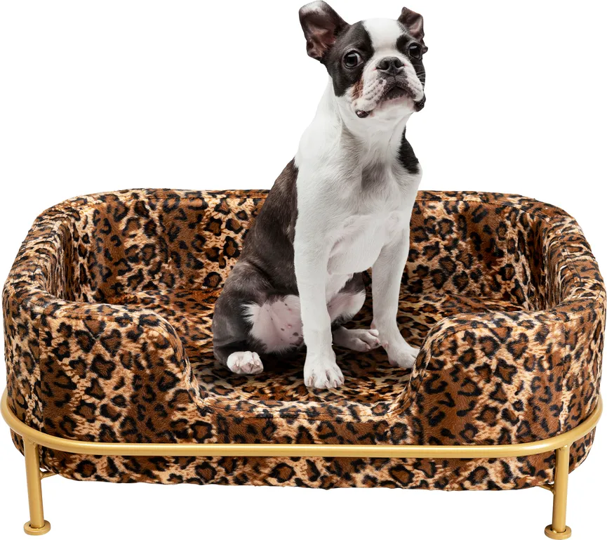 Hundebett Diva Leo hauptaufnahme