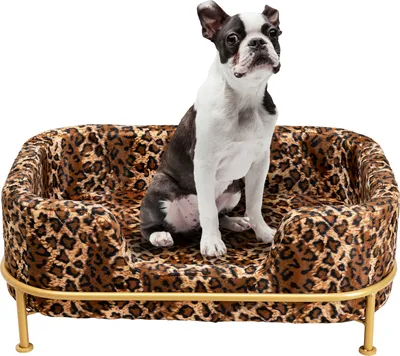 Hundesofa