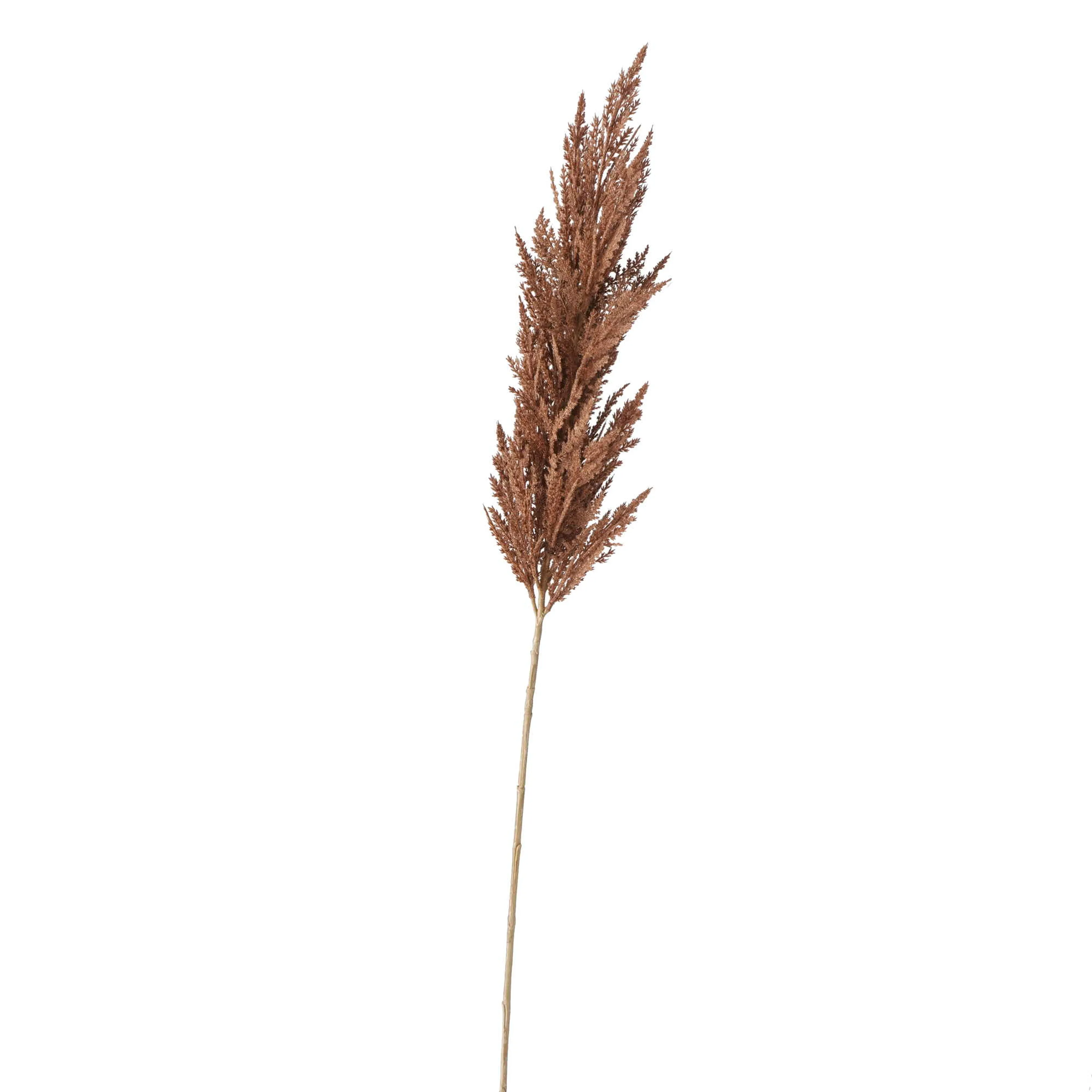 Kunstpflanze Pampasgras 117 cm
