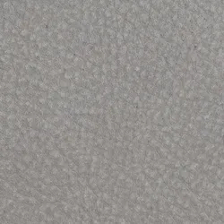 Silver material_farbe
