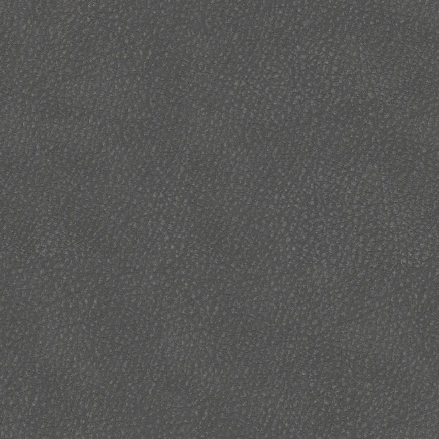 RS MR 261 S AD4 material_farbe