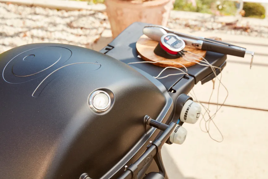 ** Weber iGrill Fühler detail