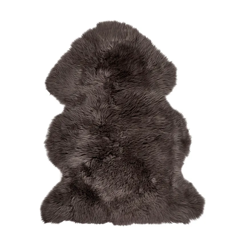 Schaf- hauptaufnahme