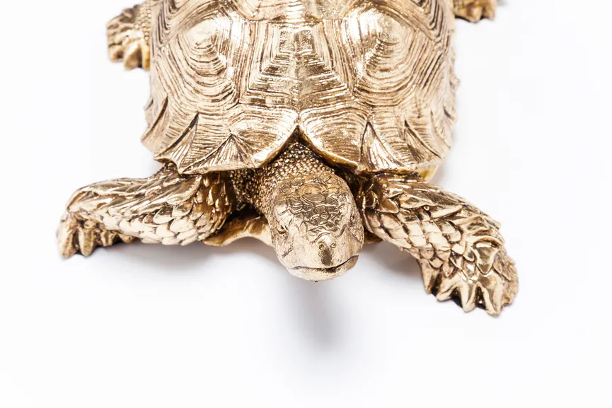 Figur "Turtle" Schildkröte detail