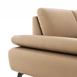 Camel material_farbe