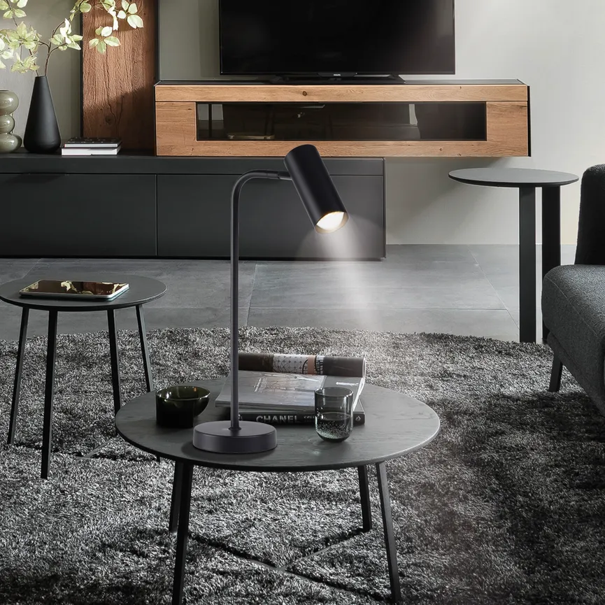 Tischleuchte "RIK" milieu