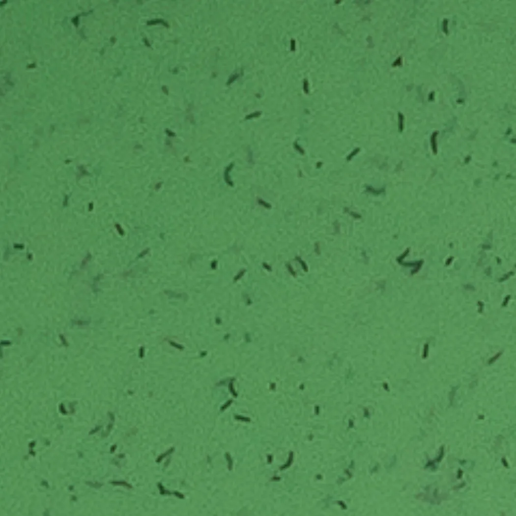 material_farbe