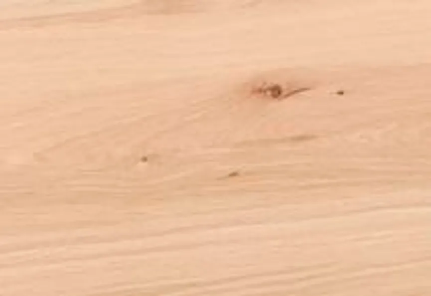 Highboard 167114+195294 material_farbe