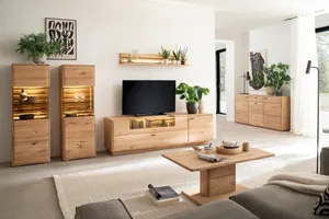 TV-Lowboard 