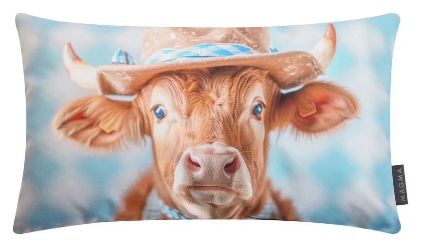 Kissen Liesel 50x30cm hauptaufnahme