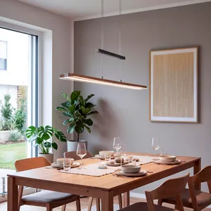 LED-Pendelleuchte