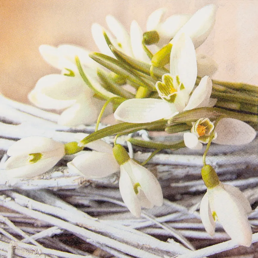 Lunch-Serviette "Snowdrops" hauptaufnahme