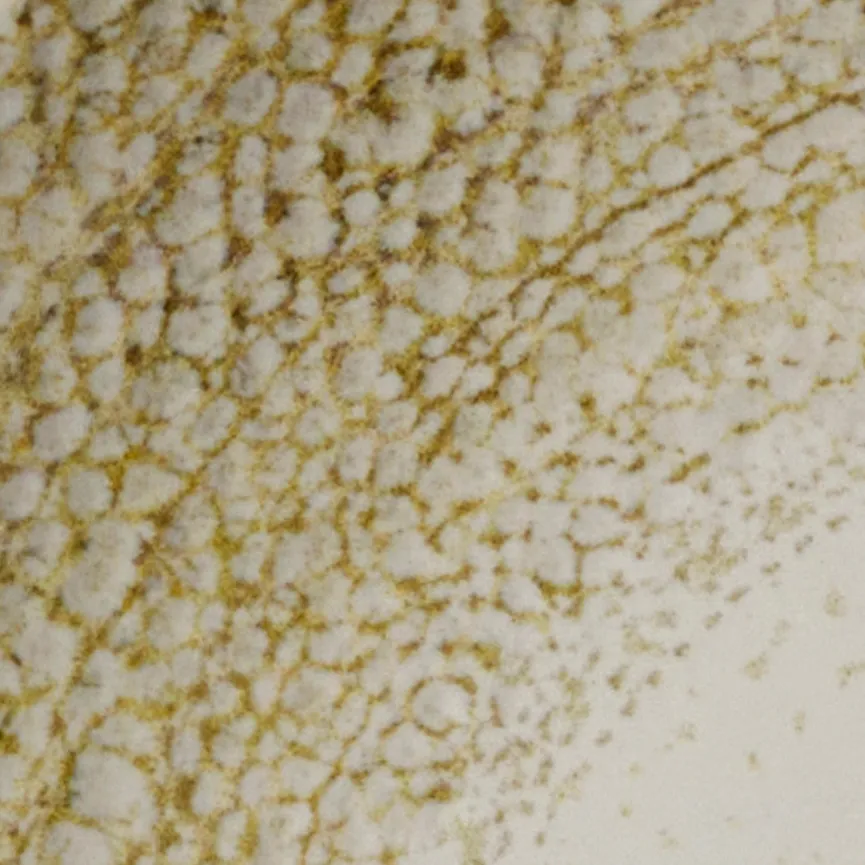 Frühstücksteller "Rimini" material_farbe