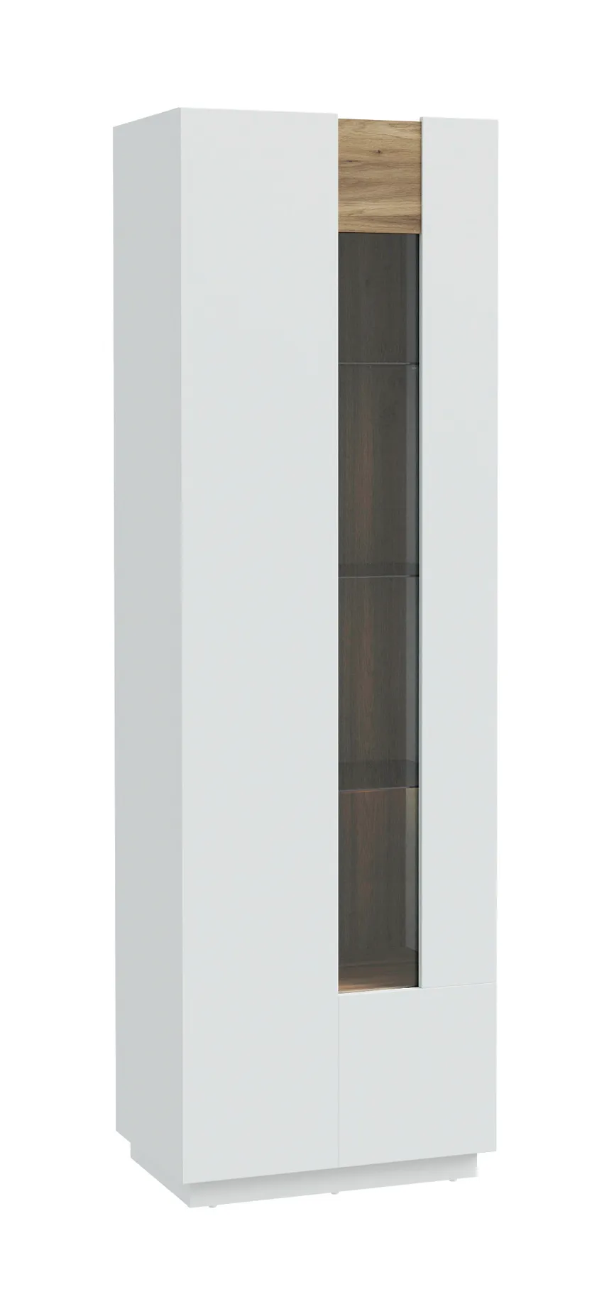 Vitrine hauptaufnahme