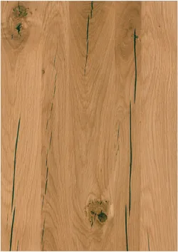 Wildeiche material_farbe
