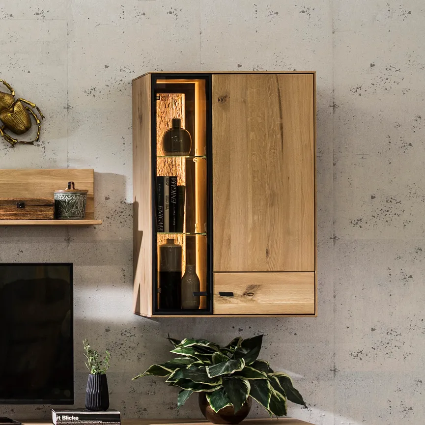 Hängevitrine milieu