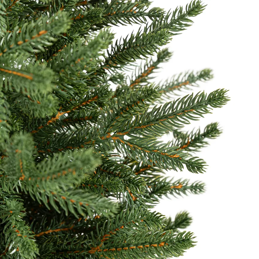 Zwergfichte S material_farbe