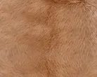 material_farbe