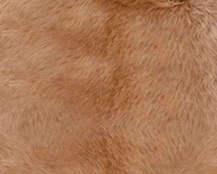 australisches material_farbe